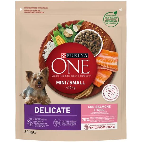 purina one cane delicate adult mini salmone e riso 800g