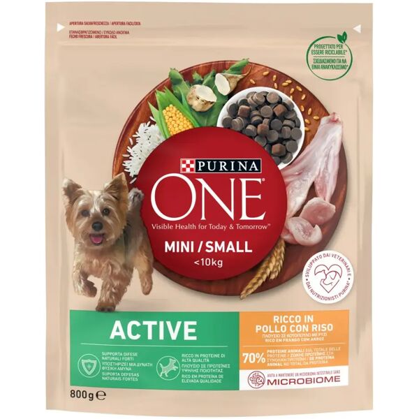 purina one cane active mini pollo e riso 800g