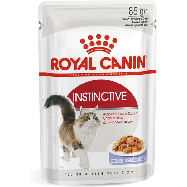 royal canin cat instinctive in gelatina busta multipack 48x85g carni e derivati