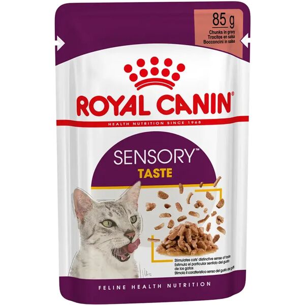 royal canin cat sensory taste in salsa busta multipack 48x85g carni e derivati