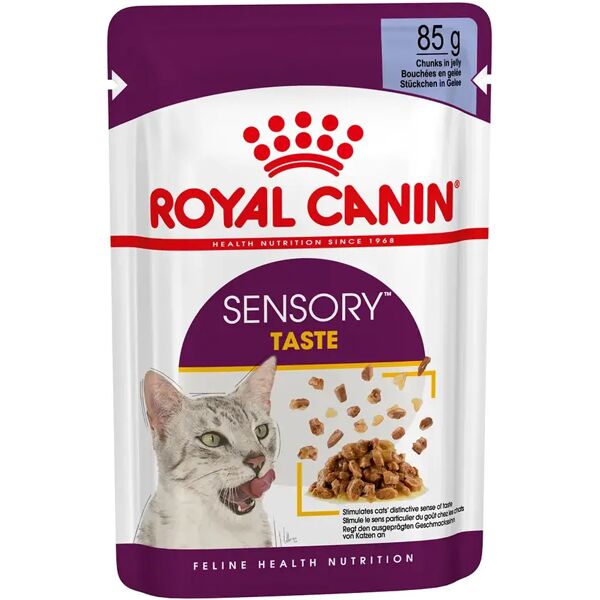 royal canin cat sensory taste in gelatina busta multipack 48x85g carni e derivati