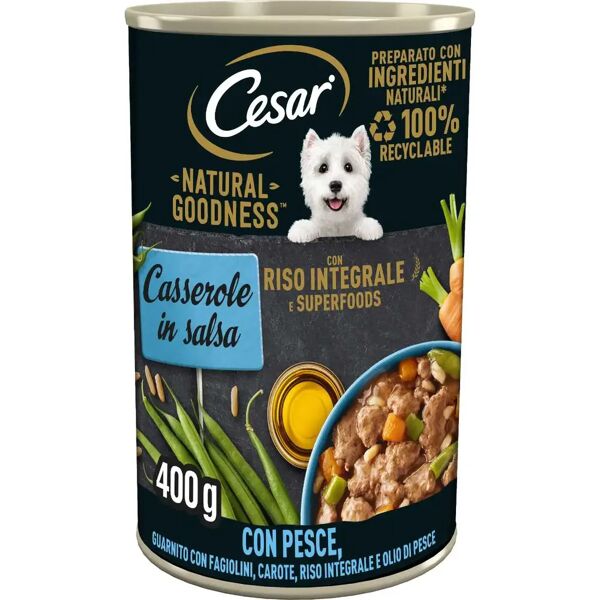 cesar dog casserole in salsa lattina 400g pesce