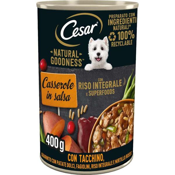 cesar dog casserole in salsa lattina 400g tacchino