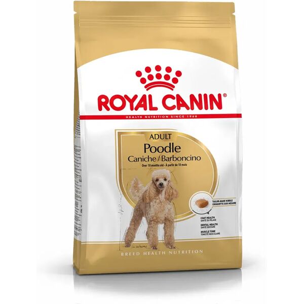 royal canin barboncino adult alimento completo per cani di razza adulti e maturi oltre 10 mesi di età 1.5kg