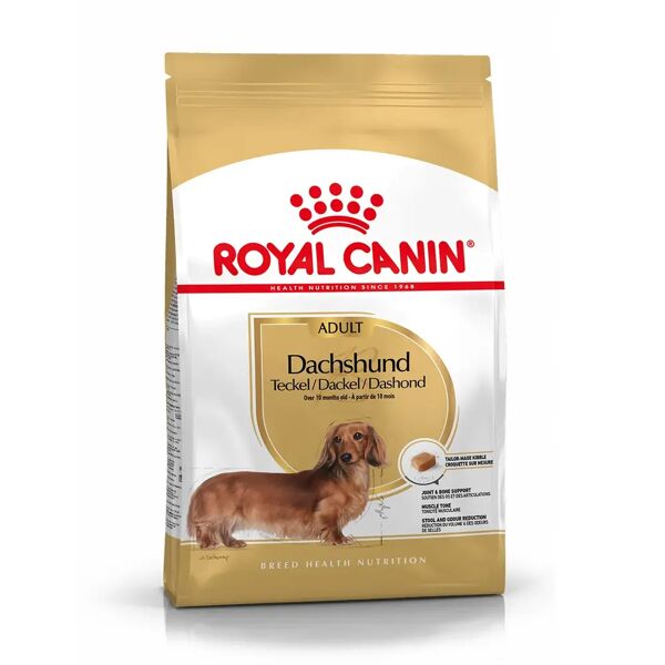 royal canin bassotto adult alimento completo per cani di razza adulti e maturi oltre 10 mesi di età 1.5kg