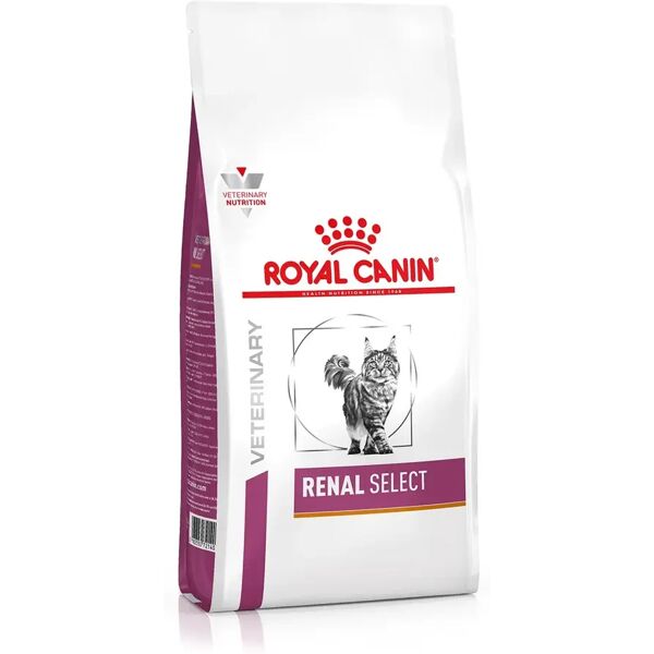 royal canin v-diet renal select gatto 2kg