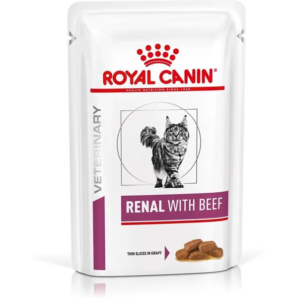 royal canin v-diet renal multipack manzo gatto 12x85g