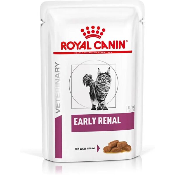 royal canin v-diet early renal multipack gatto 12x85g