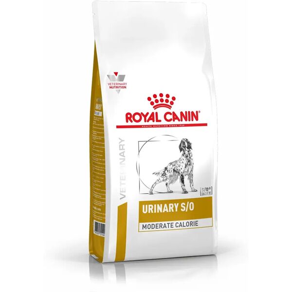 royal canin v-diet urinary s/o moderate calorie cane 1.5kg