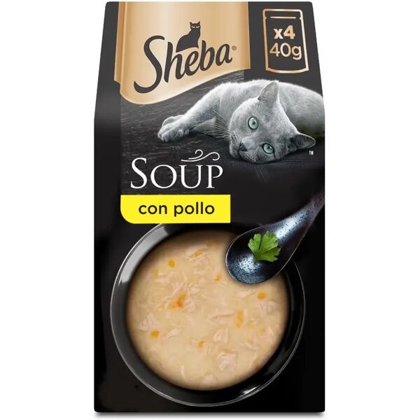 sheba soup cat busta multipack 4x40g pollo