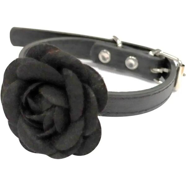 croci collare black rose m