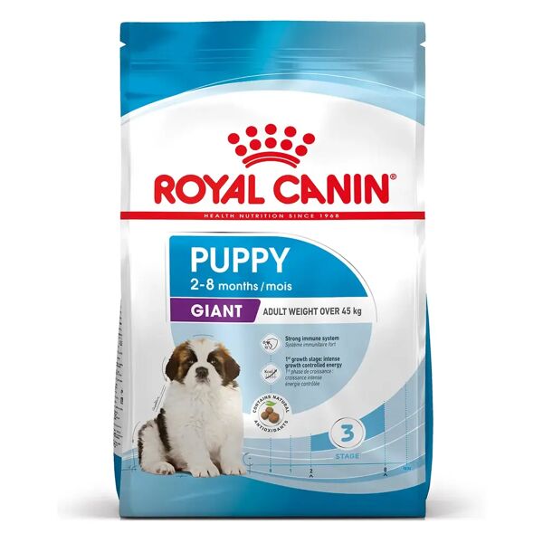 royal canin giant puppy alimento completo per cuccioli di taglia gigante fino a 8 mesi di età 15kg