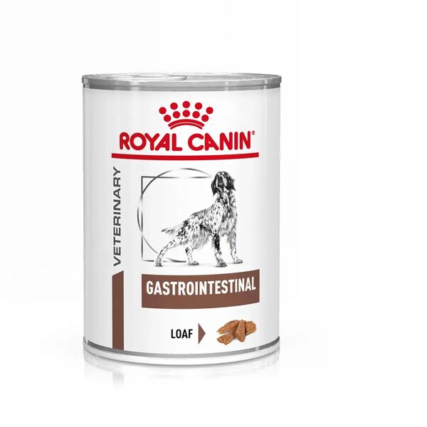 royal canin v-diet gastrointestinal low fat alimento dietetico completo per cani adulti 420g