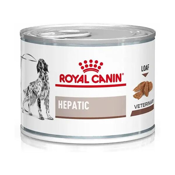 royal canin v-diet hepatic alimento dietetico completo per cani adulti 200g