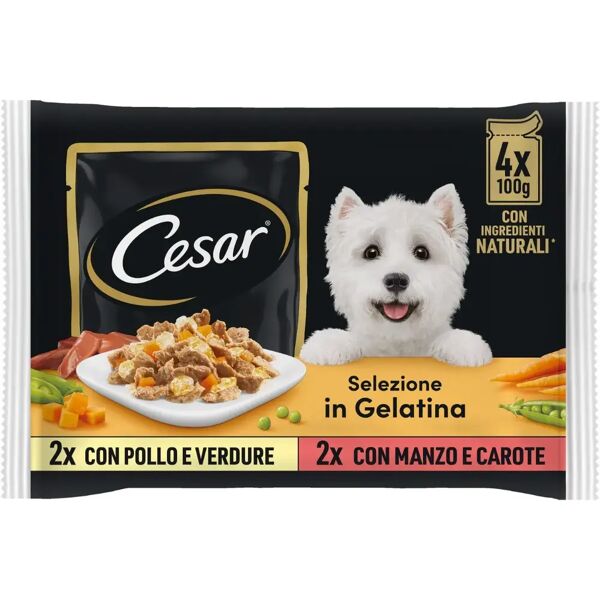 cesar dog busta in gelatina multipack 4x100g mix carne e verdura