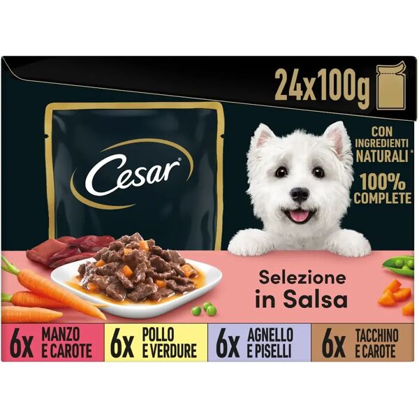 cesar dog busta in salsa multipack 24x100g mix carne e verdura