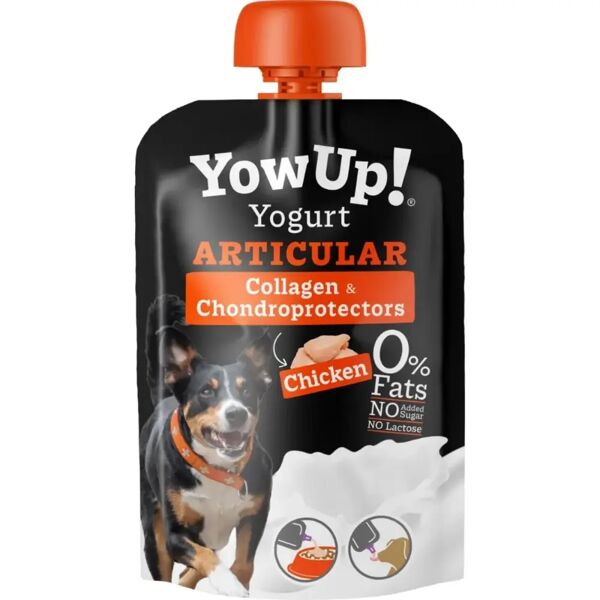 yowup ! yogurt dog articular chicken 115g