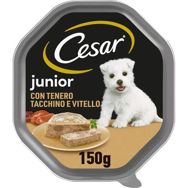 cesar puppy vaschetta multipack 14x150g tacchino e vitello