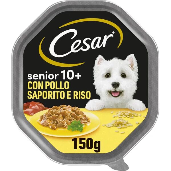 cesar senior dog in salsa vaschetta multipack 14x150g pollo e riso