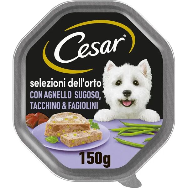 cesar dog selezioni dell'orto vaschetta multipack 14x150g agnello con tacchino e fagiolini