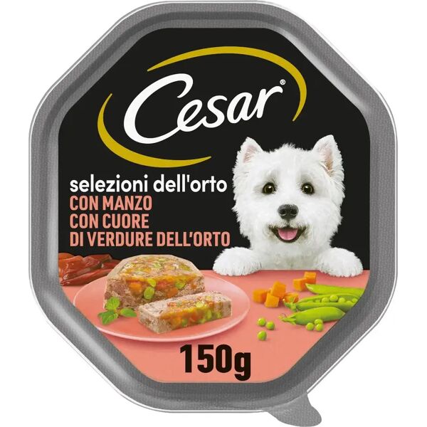 cesar dog selezioni dell'orto vaschetta multipack 14x150g manzo con cuore di verdure