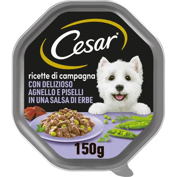 cesar dog ricette di campagna vaschetta multipack 14x150g agnello e piselli