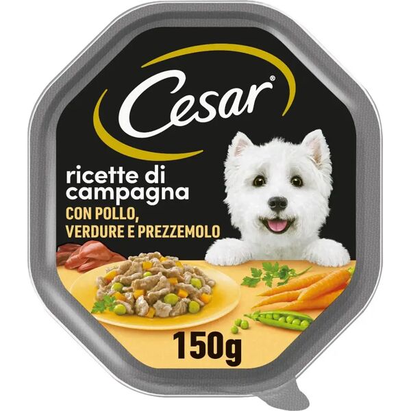 cesar dog ricette di campagna vaschetta multipack 14x150g pollo e verdure