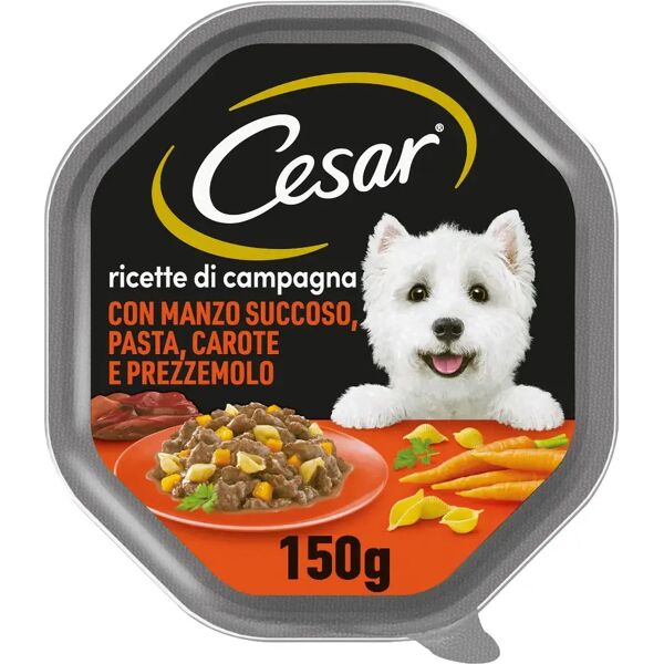 cesar dog ricette di campagna vaschetta multipack 14x150g manzo e pasta