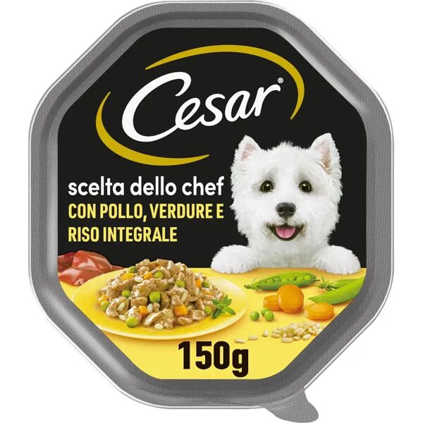 cesar dog scelta dello chef vaschetta multipack 14x150g pollo con verdure e riso