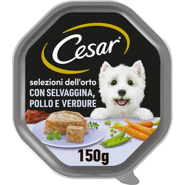 cesar dog selezioni dell'orto vaschetta multipack 14x150g selvaggina con pollo e verdure