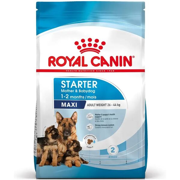 royal canin starter mother & babydog maxi 4kg