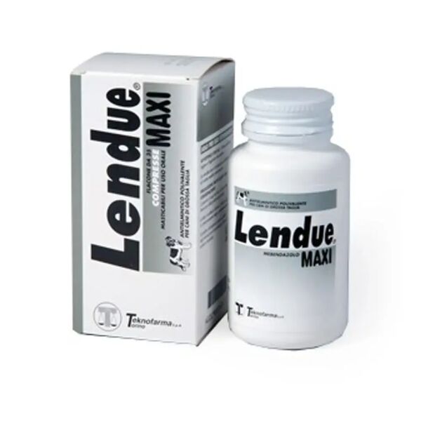 lendue maxi compresse masticabili 480 mg 35cp