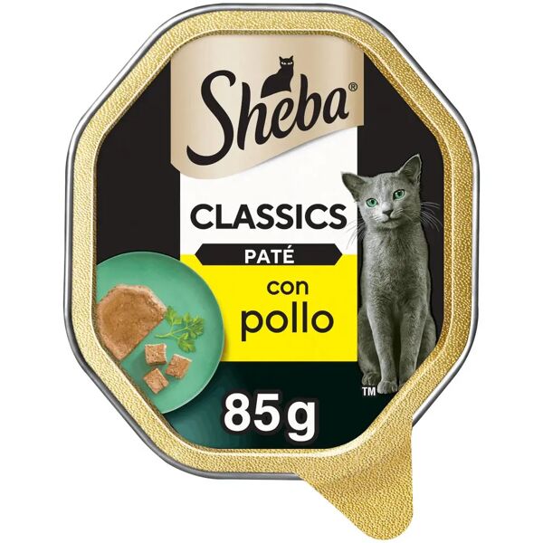 sheba classics cat vaschetta multipack 22x85g pollo