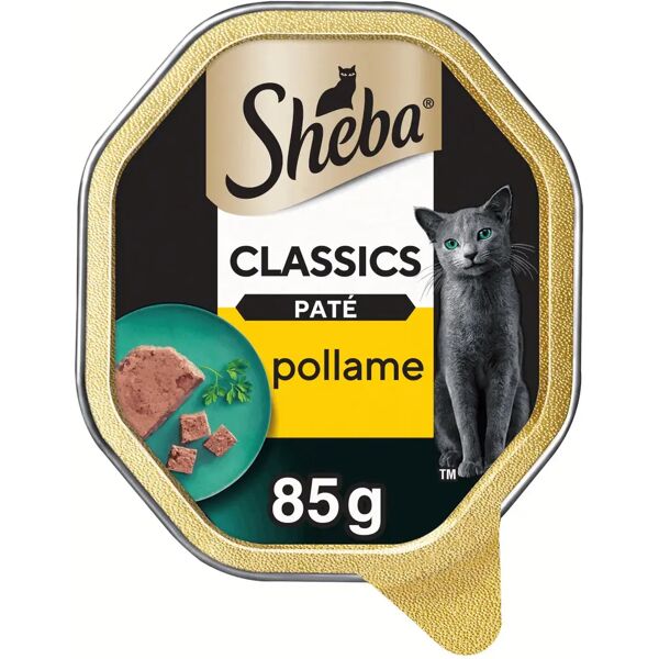 sheba classics cat vaschetta multipack 22x85g pollame