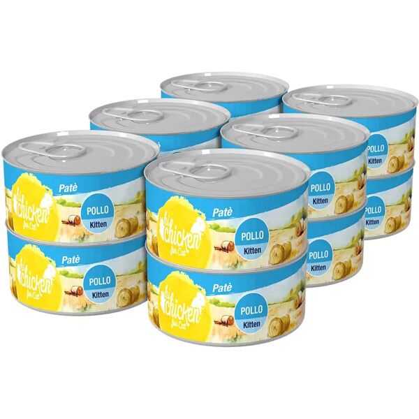 hi chicken kitten lattina multipack 12x85g pollo