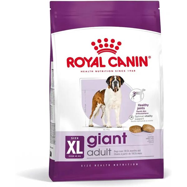 royal canin giant adult alimento secco completo per cani adulti di taglia gigante 15kg