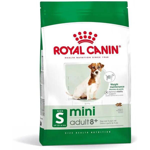 royal canin mini adult 8+ alimento secco completo per cani maturi di piccola taglia 800g