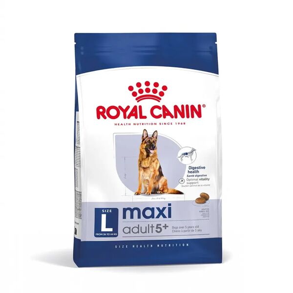 royal canin maxi adult 5+ alimento secco completo per cani maturi di taglia grande 15kg