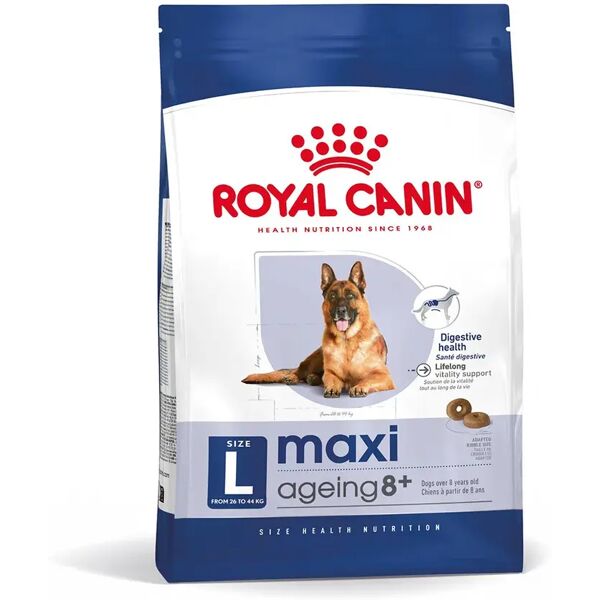 royal canin maxi ageing 8+ alimento secco completo per cani anziani di taglia grande 15kg