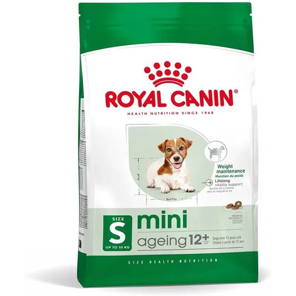 royal canin mini ageing+12 alimento secco completo per cani anziani di piccola taglia 1.5kg