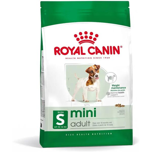 royal canin mini adult alimento completo per cani adulti di piccola taglia 800g