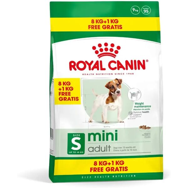 royal canin mini adult alimento completo per cani adulti di piccola taglia 8+1kg