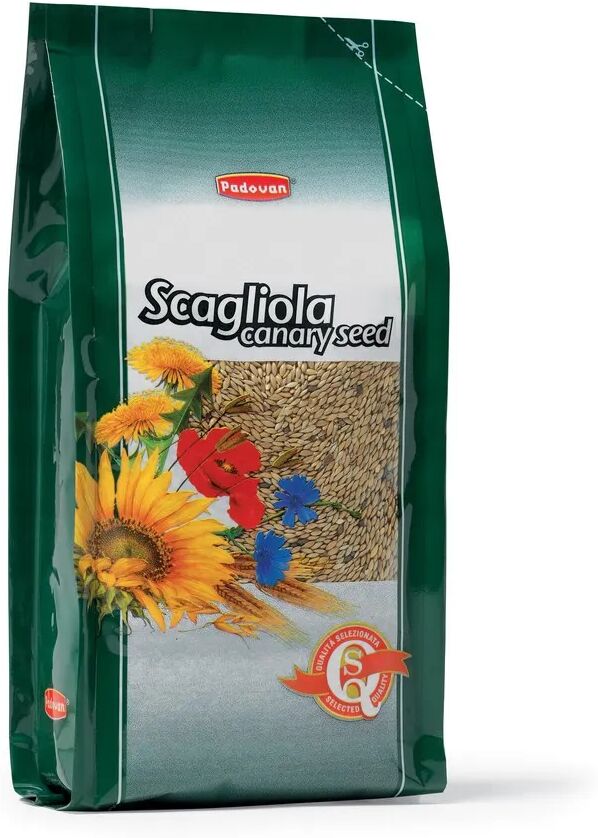 padovan scagliola canary seed 1kg