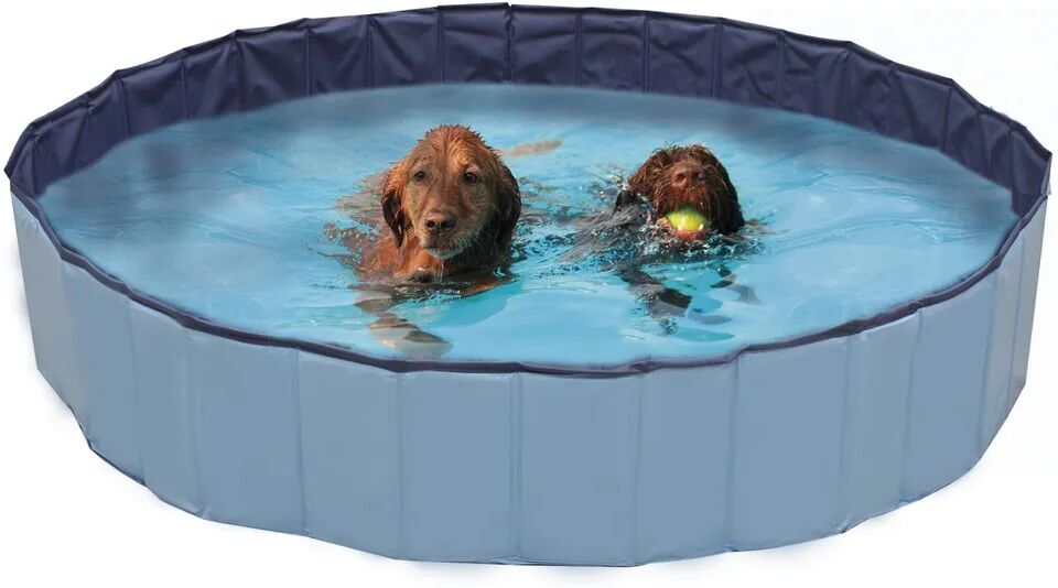 croci piscina per cane explorer 1 pz