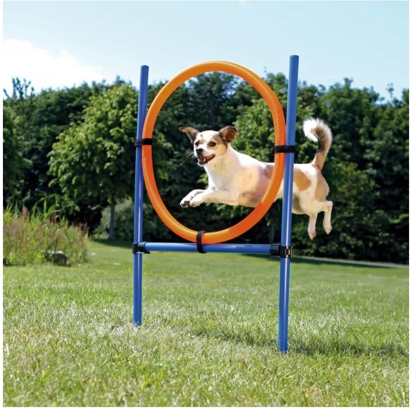 trixie gioco anello agility per cane cm.115x3x65