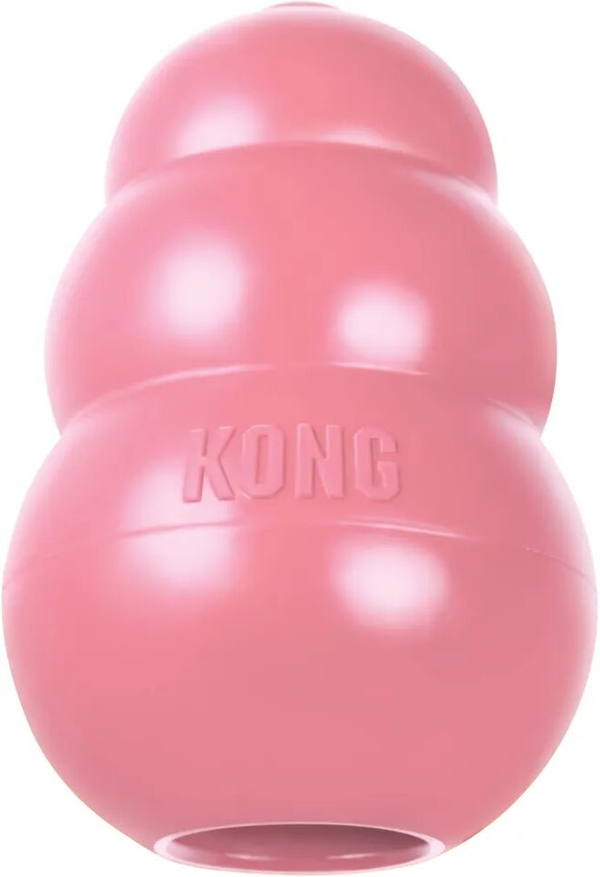 kong puppy s