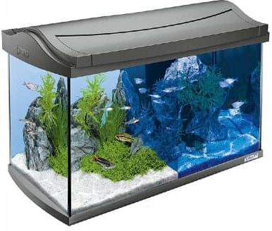 tetra aquaart discovery line led antracite 60l