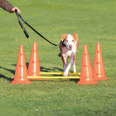 trixie coni e aste per allenamento cane 1 pz