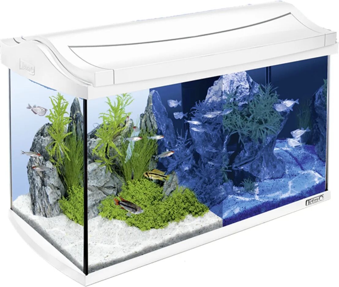 tetra aquaart led bianco 60l