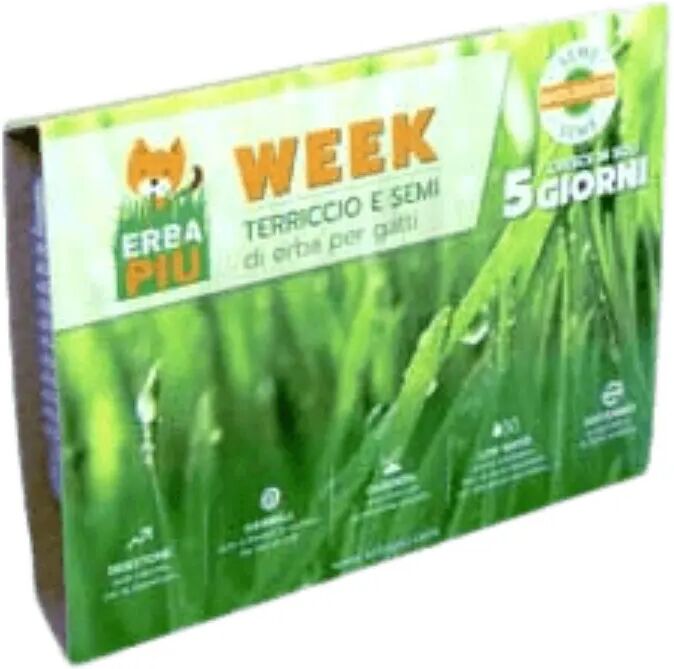 erba piu erba gatta week kit di semina 1 pz